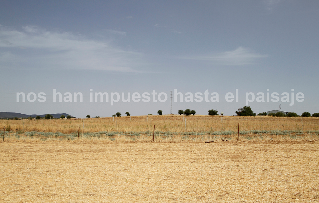 Abel Jaramillo. Nos han impuesto hasta el paisaje