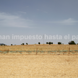 Abel Jaramillo. Nos han impuesto hasta el paisaje