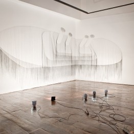 Adrián Martínez. Calipso, 2011