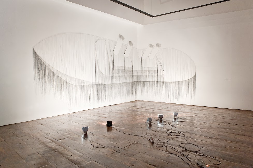 Adrián Martínez. Calipso, 2011