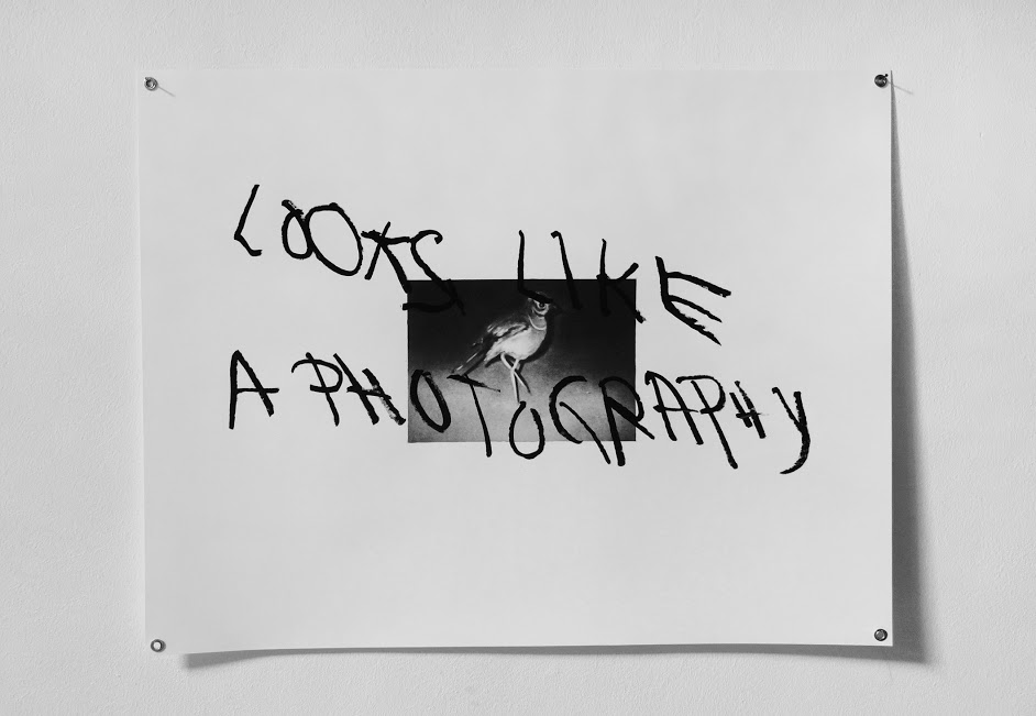 Adrián Martínez. Looks like a photography, 2014