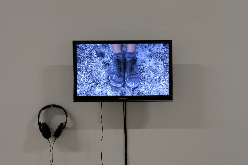 Ana Esteve Reig. Bad Romance, 2010