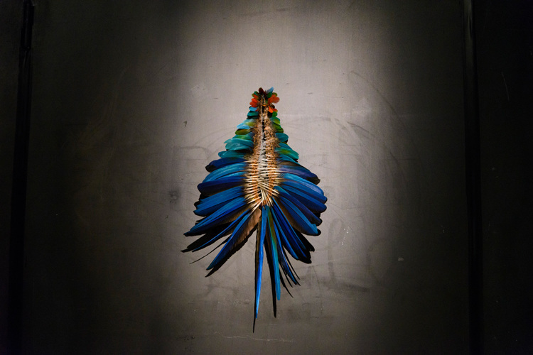 Anna Talens. Ara, 2014
