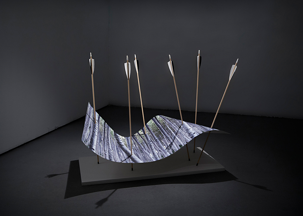 Antonio Guerra. Ver de Acción, 2017. Galería La Isla