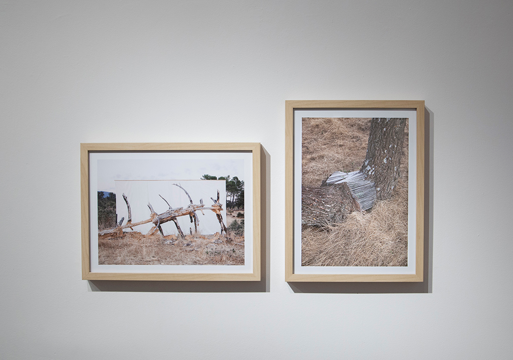 Antonio Guerra. Ver de Acción, 2017. Galería La Isla