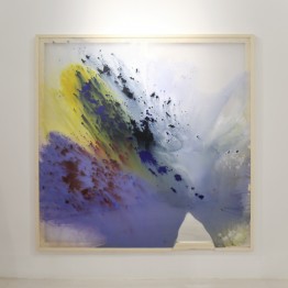 Cristina Gamón. Ice Field. Vista en exposición en la Galería Lucía Mendoza