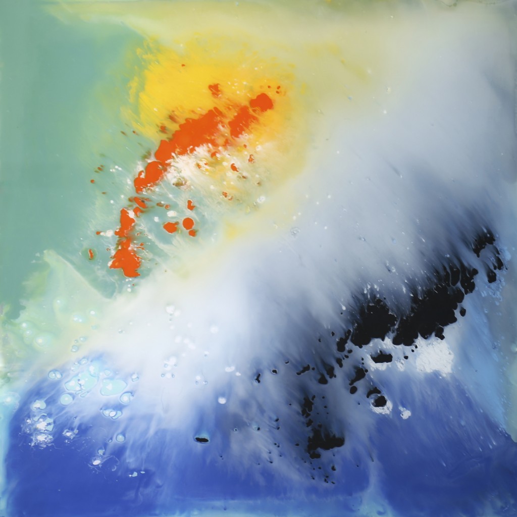 Cristina Gamón. Wild iceberg, 2018