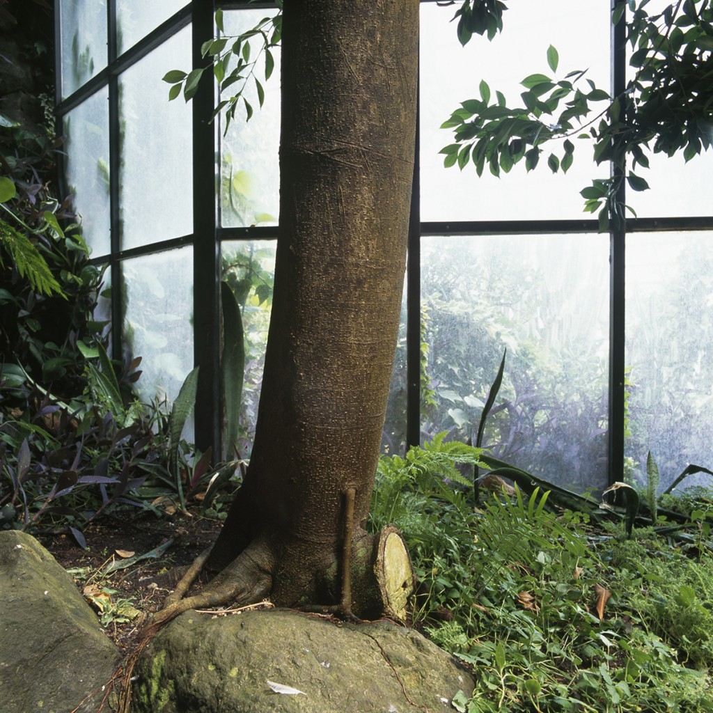 Elena de la Rúa. In a Glass Case, 2007-2008