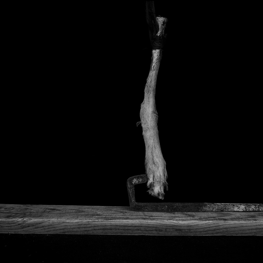 Elena de la Rúa. El miedo como herida, 2013-2014