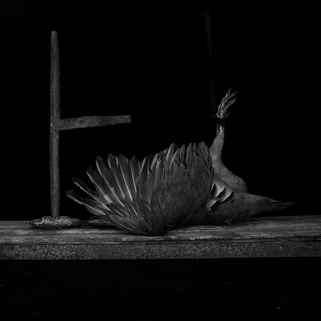 Elena de la Rúa. El miedo como herida, 2013-2014