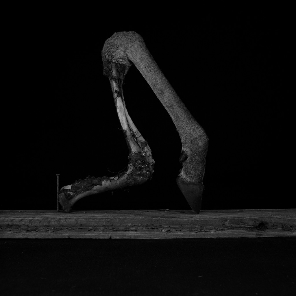 Elena de la Rúa. El miedo como herida, 2013-2014