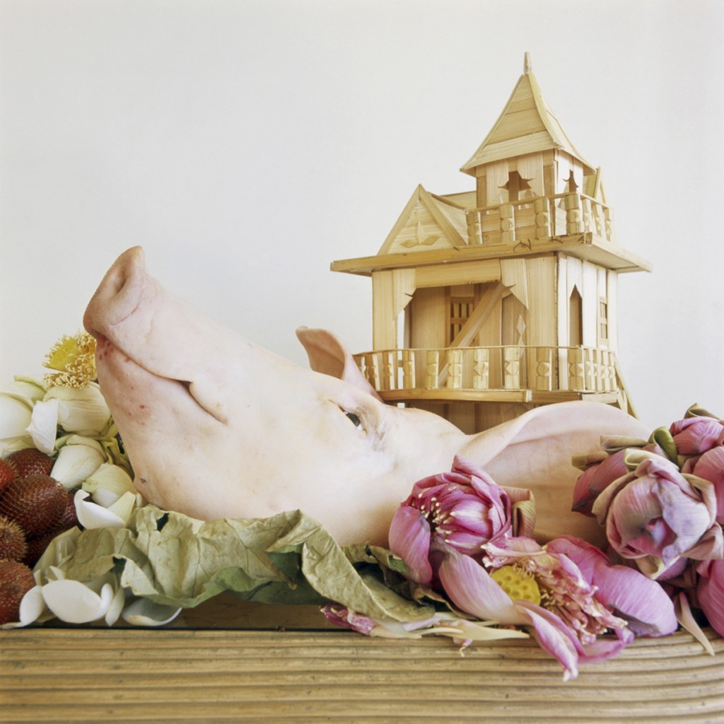 Elena de la Rúa. El último pensamiento mágico, 2010