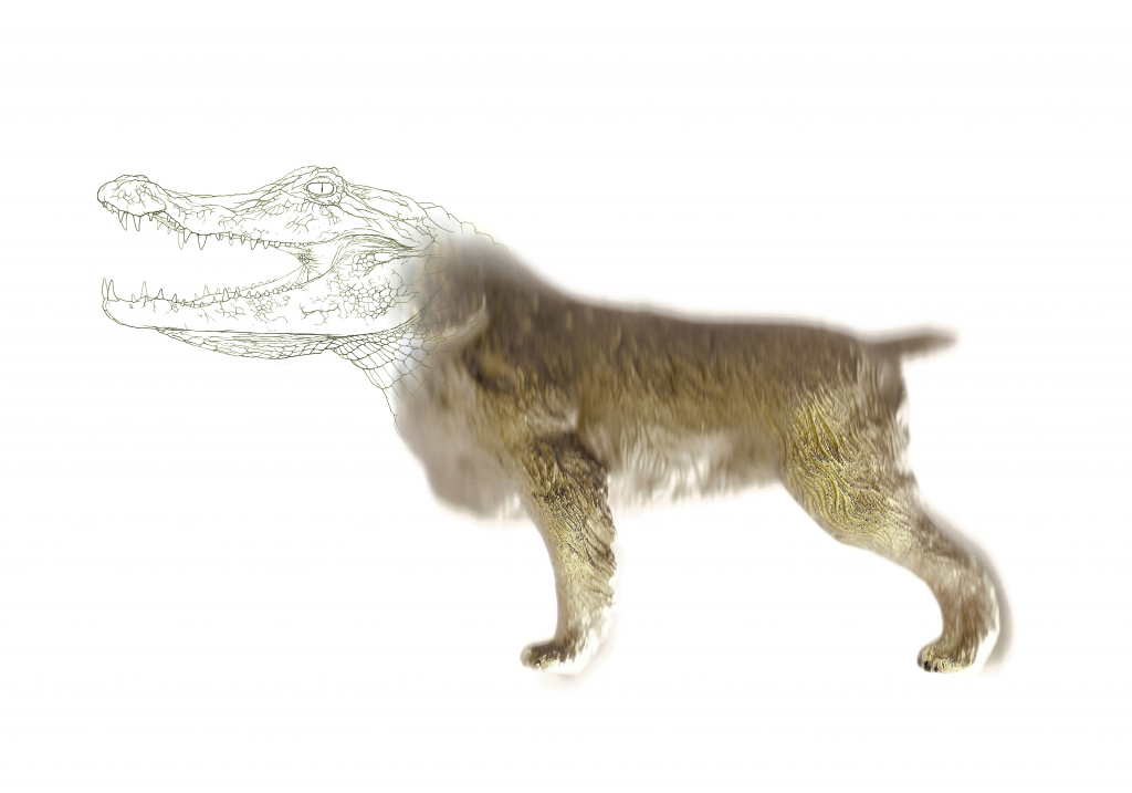 Gene targeting. “dog”, 2013