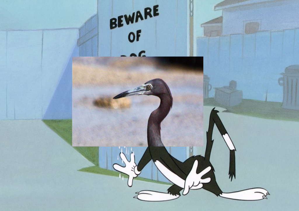 Miguel Ángel Fúnez. Cartoon manipulation, 2011