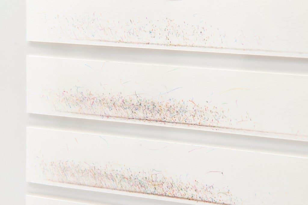 Isabel Servera. Diari 36, 2015