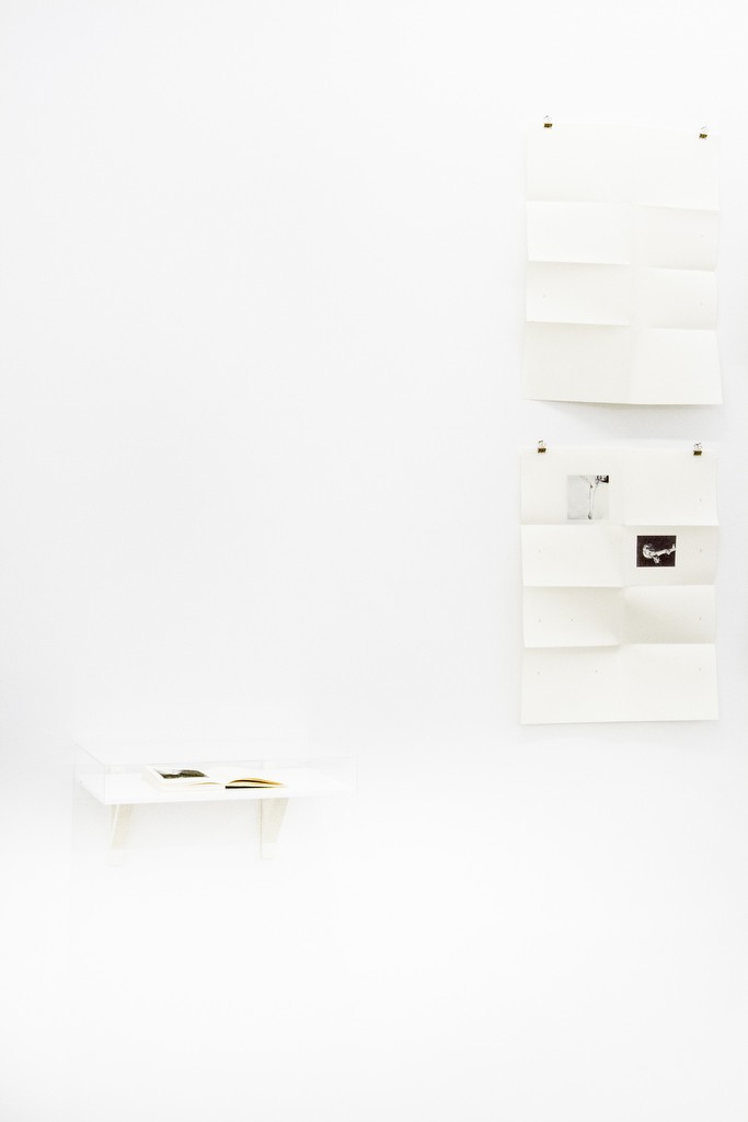 Ira Lombardía. Semiotic Books for Tumblr Readers, 2015