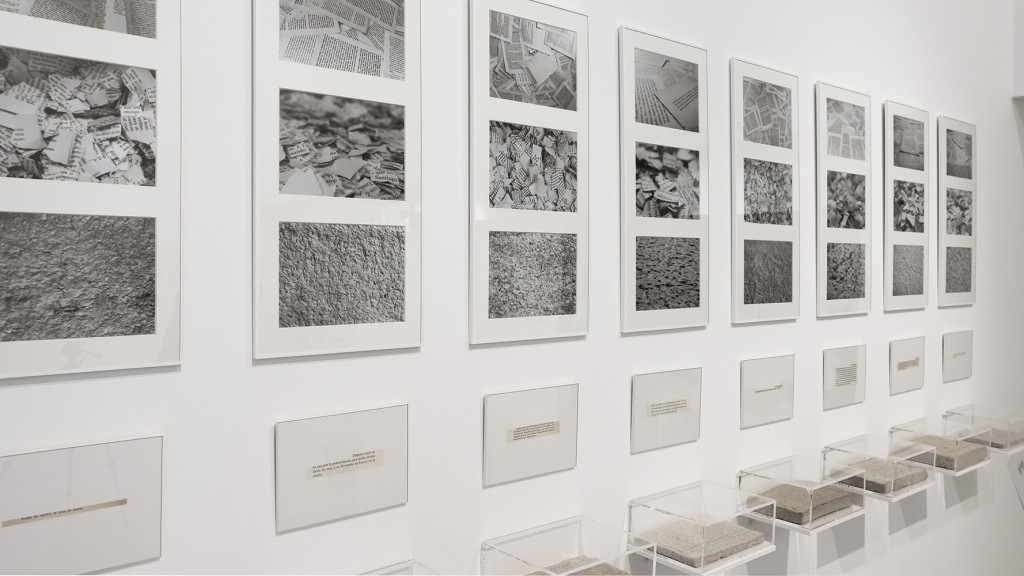 Marla Jacarilla. El fin y la persistencia, 2014