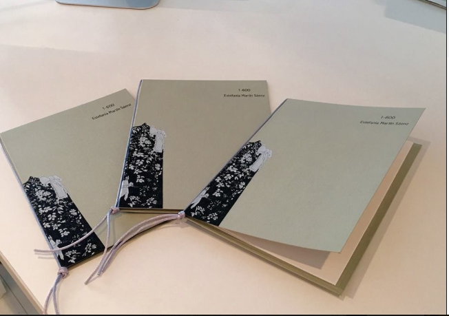Estefanía Martín Sáenz. Cuadernos de artista