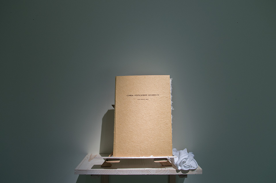 Ruth Montiel Arias. El colapso de las colonias, 2014-2015