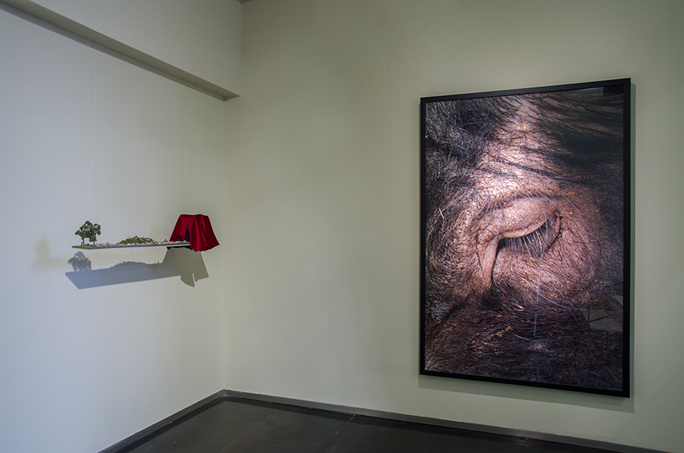 Ruth Montiel Arias. Sonidos para una utopía, 2015