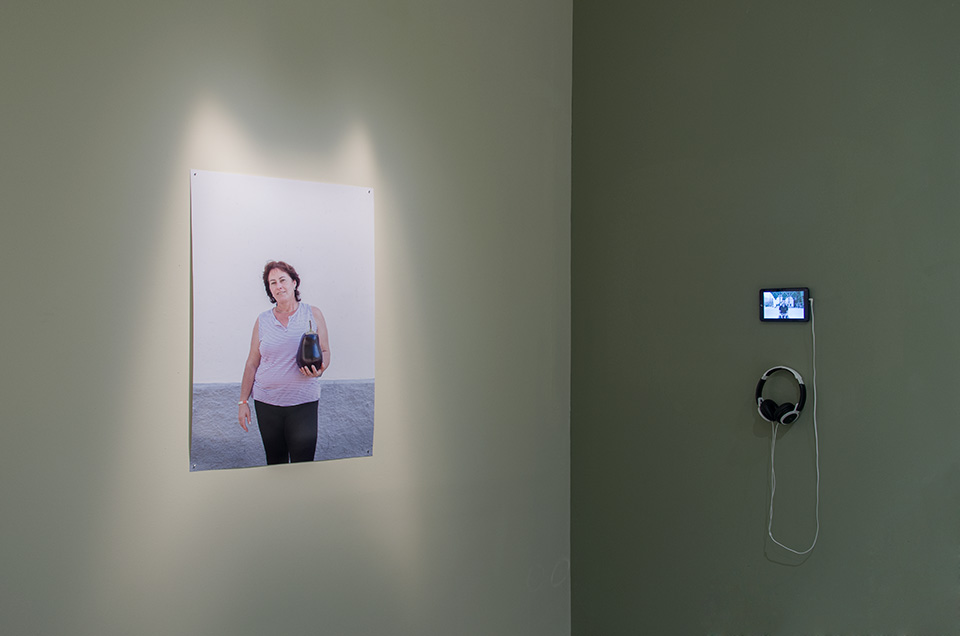 Ruth Montiel Arias. El colapso de las colonias, 2014-2015