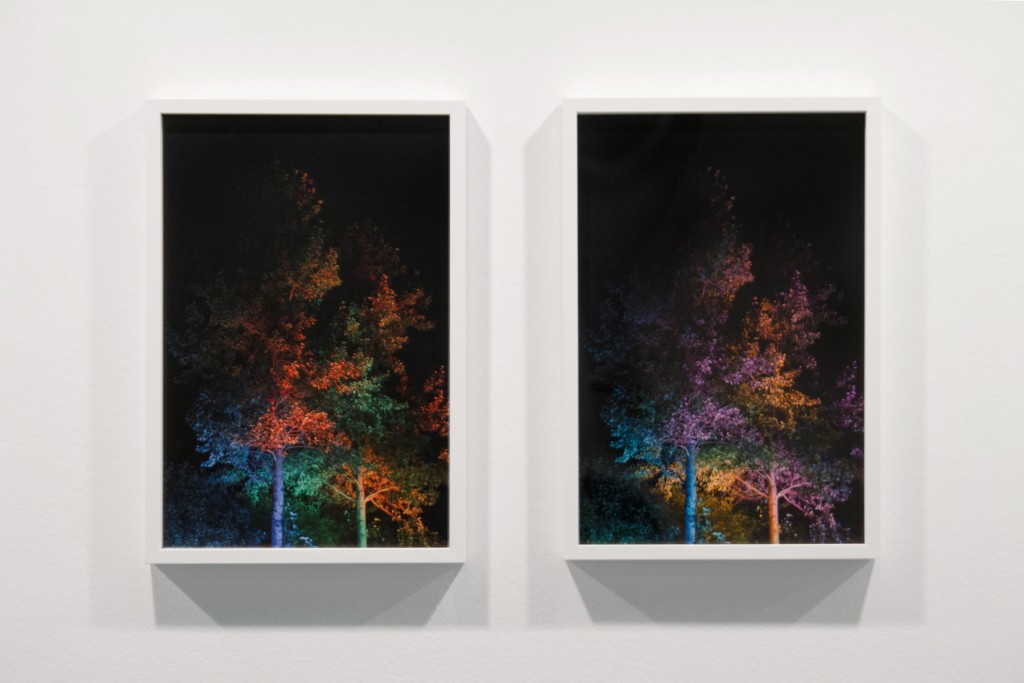 Paula Prats. Still Light
