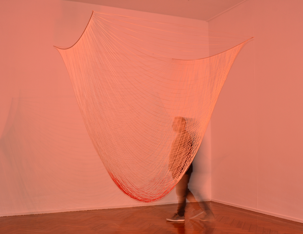 Sara Coleman. Pulsión, 2016
