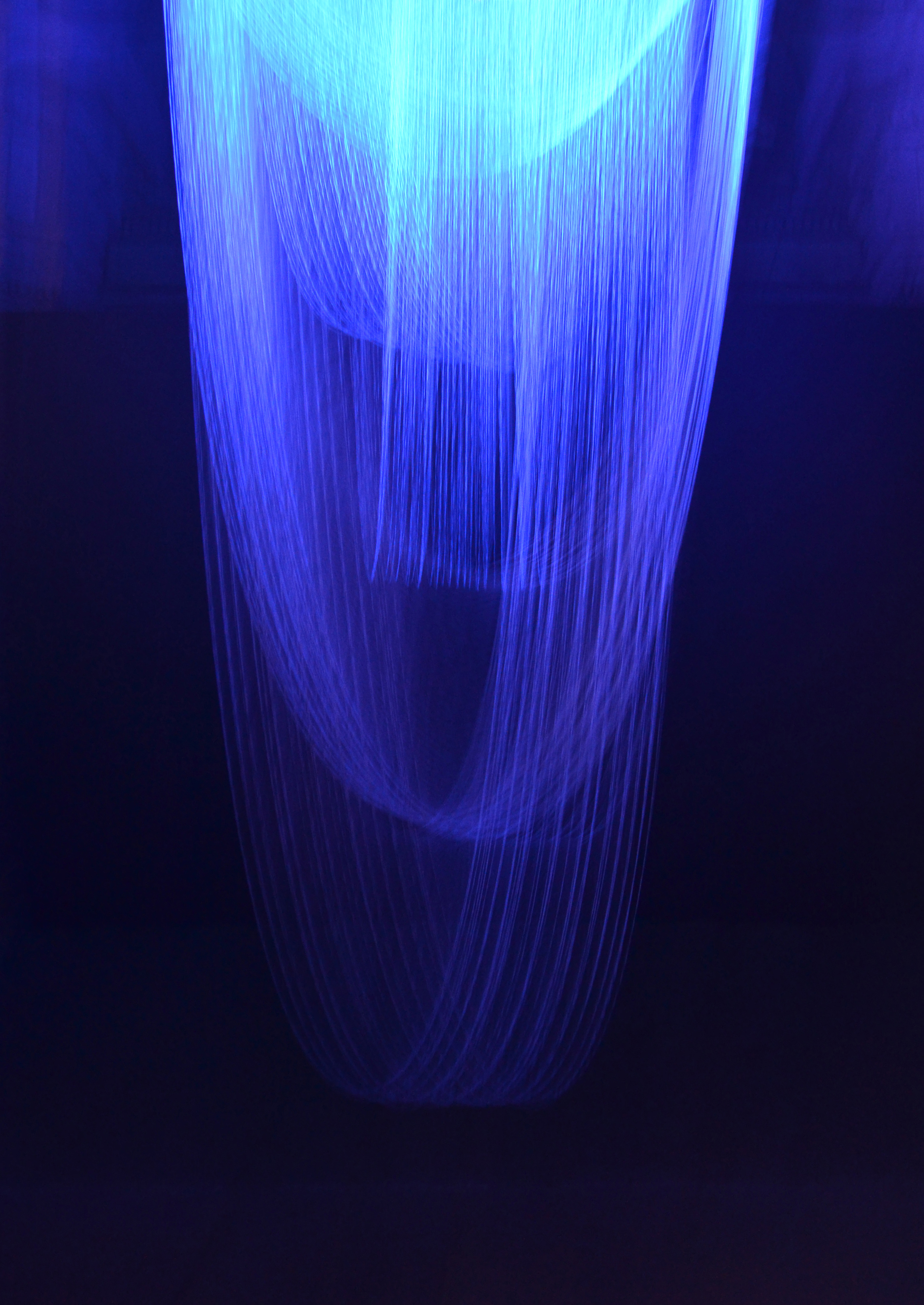 Sara Coleman. Inversión magnética, 2015