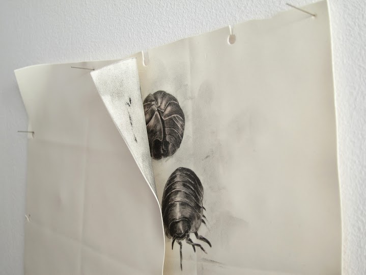 Tamara Feijóo. Lo que acaba y lo que queda, 2015
