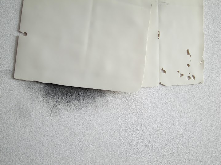 Tamara Feijóo. Lo que acaba y lo que queda, 2015