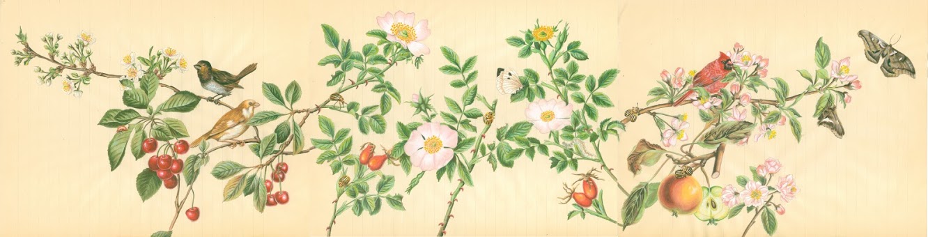 Tamara Feijoo. Naturalezas invasoras. Our sorrows
