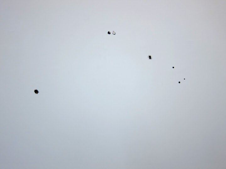 Tamara Feijoo. Uranometría, 2015