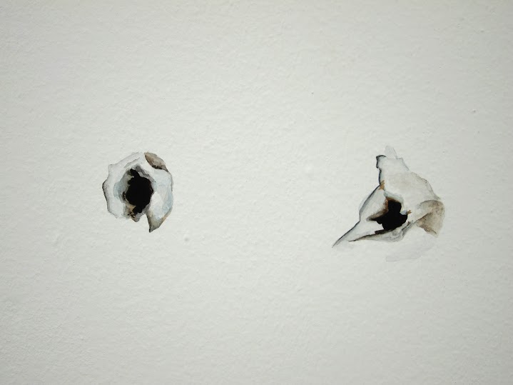Tamara Feijoo. Uranometría, 2015
