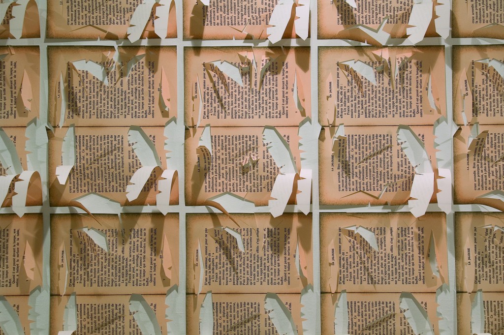 Simon Zabell. La Jalousie, 2006
