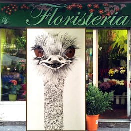 Street Gallery. Nu Díaz, Avestruz