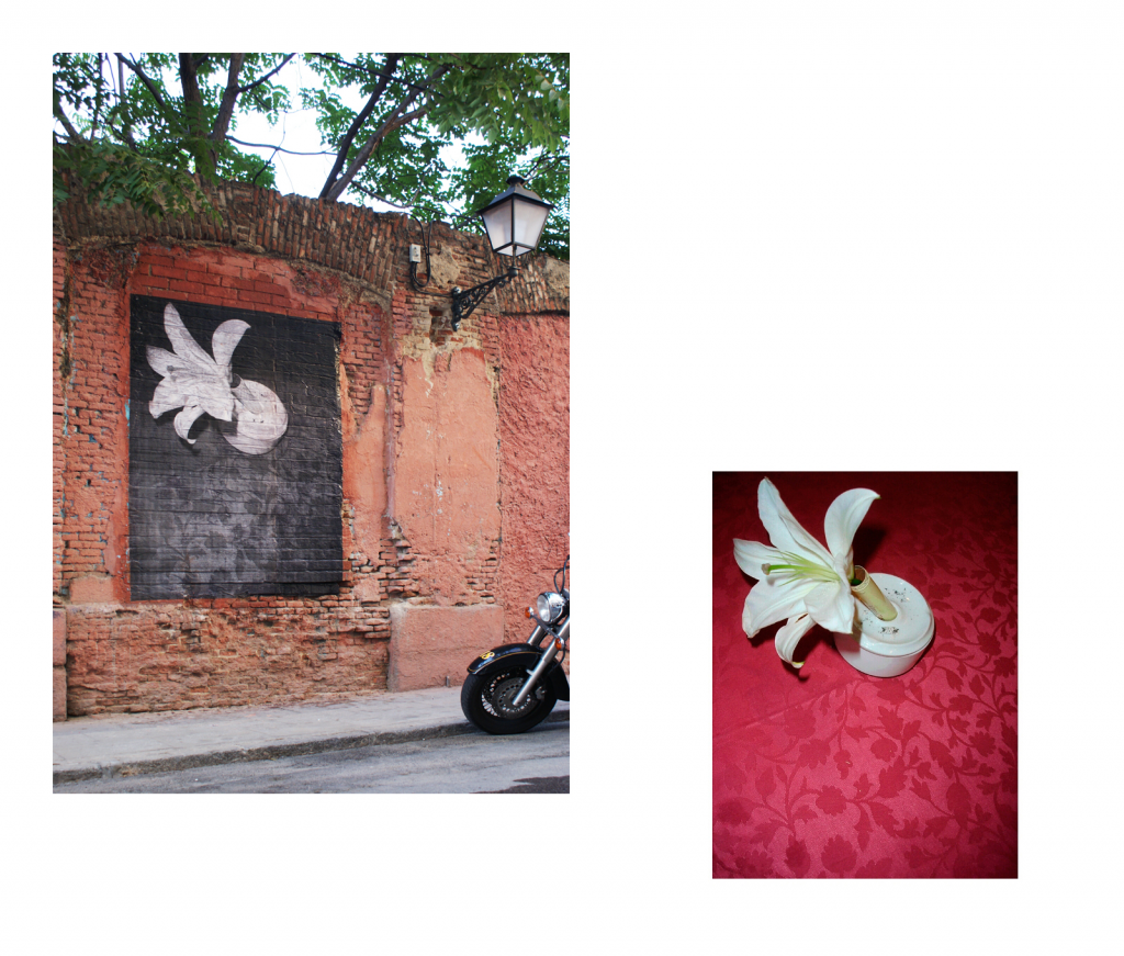 Alberto de Pedro. No permission, 2008