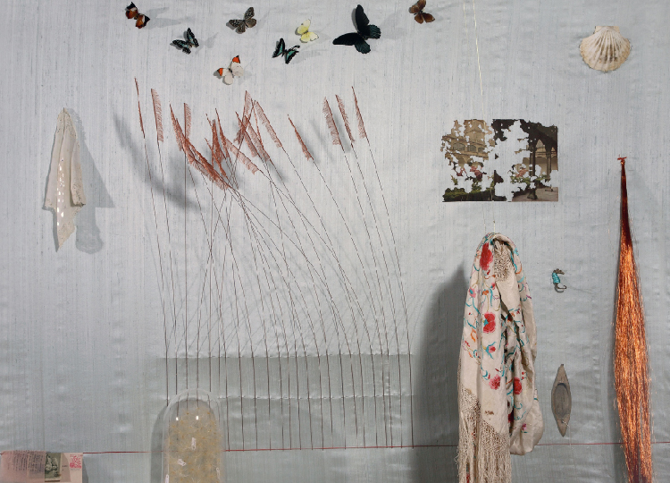 Anna Talens. My inner garden, 2010. Centro del Carmen, Valencia
