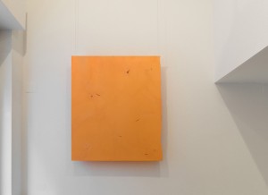 Manuel Franquelo-Giner. Cheddar