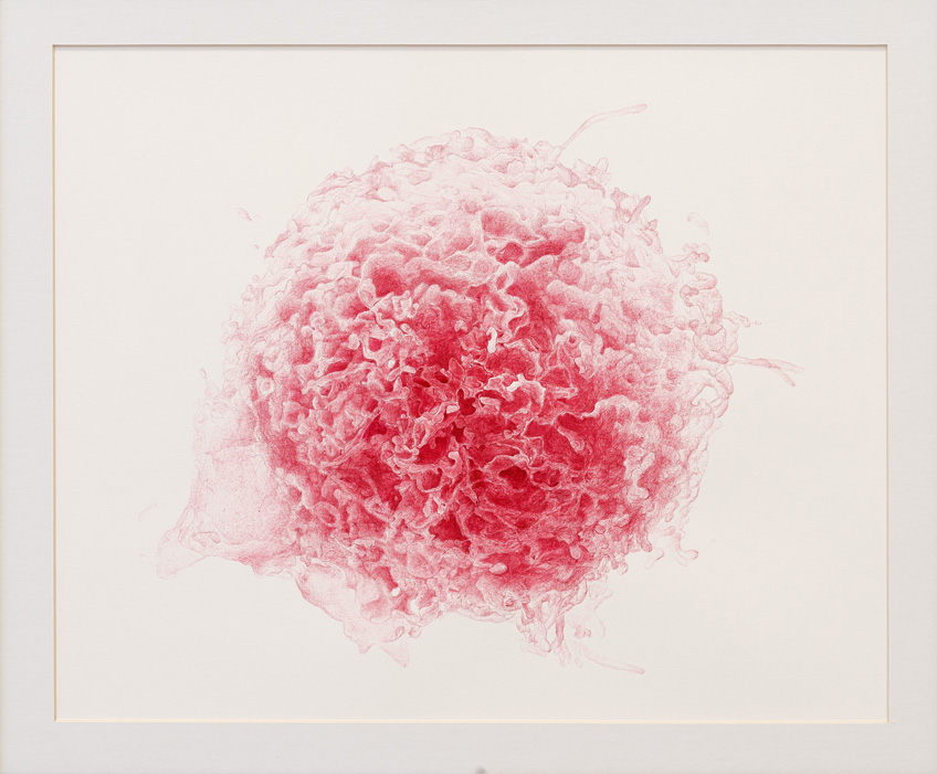 Manuel Franquelo-Giner. In Vitro #1, 2016