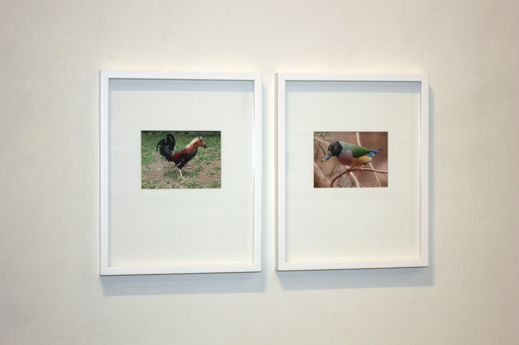 Miguel Ángel Fúnez. Experiments, 2010