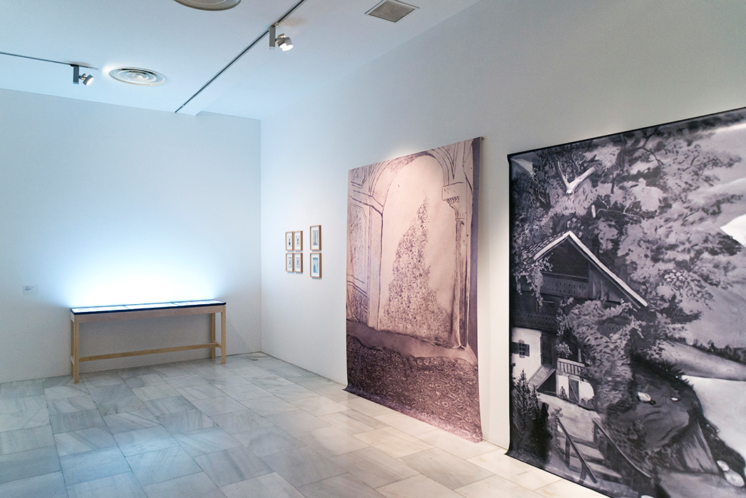 Andrés Pachón. The Fletcher Series. Vista de la instalación. Fotografía de Arantxa Boyero
