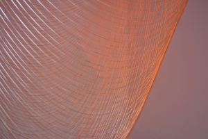 Sara Coleman. Pulsión, 2016