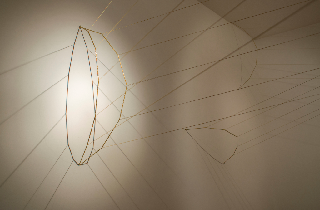 Sara Coleman. Pí, 2015