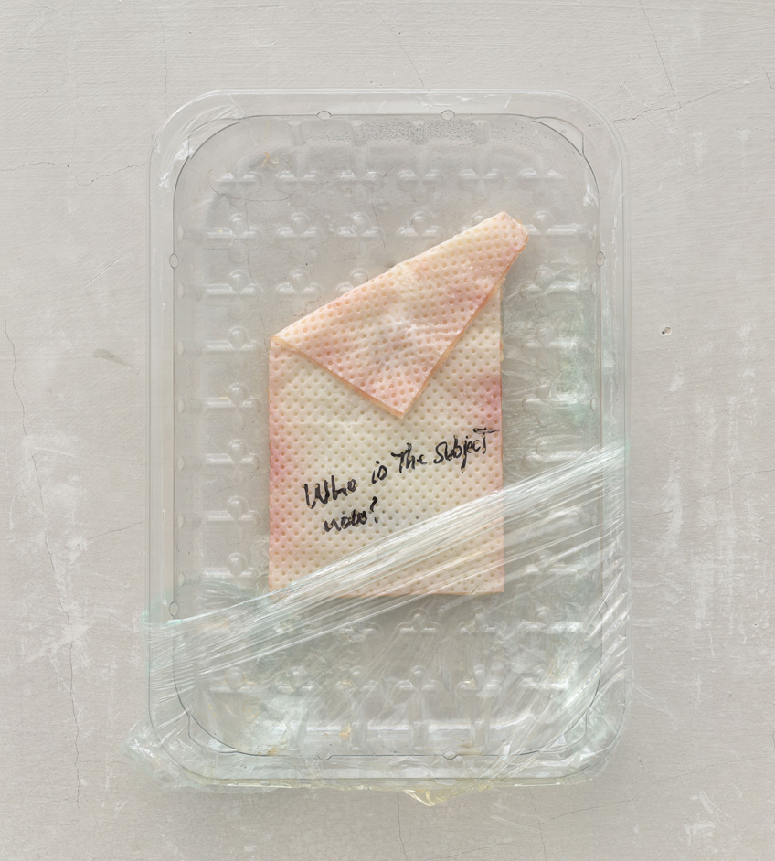 Manuel Franquelo-Giner. Absent referents, Foam trays, 2015