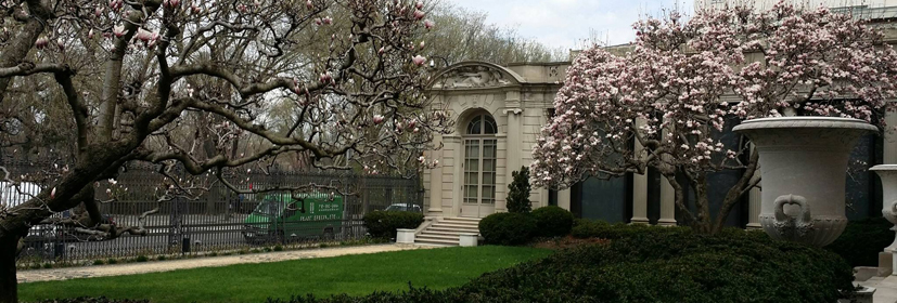 The Frick Collection