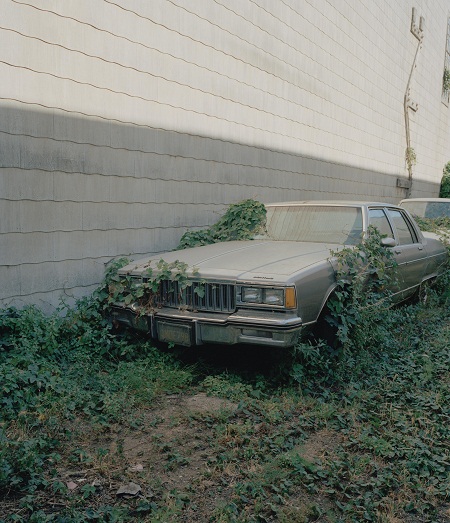 Juan Aballe. Last best hope