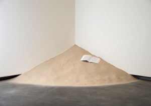 Dominique Gonzalez-Foerster. Sin título (Adolfo Bioy Casares), 2013