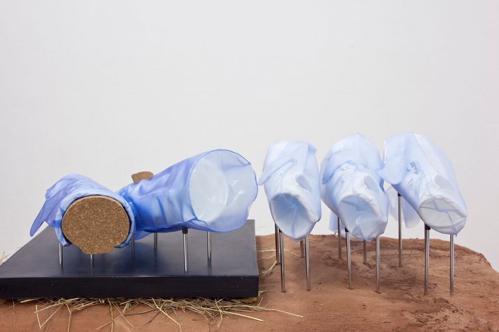 Rubén Grilo. To Whom It May Concern, 2016