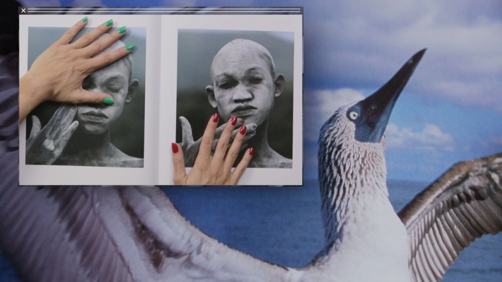 Camille Henrot. Grosse Fatigue , 2013. © ADAGP Camille Henrot Cortesía del artista, Silex Films y kamel mennour, Parí s Courtesy the artist, Silex Films and kamel mennour, Paris