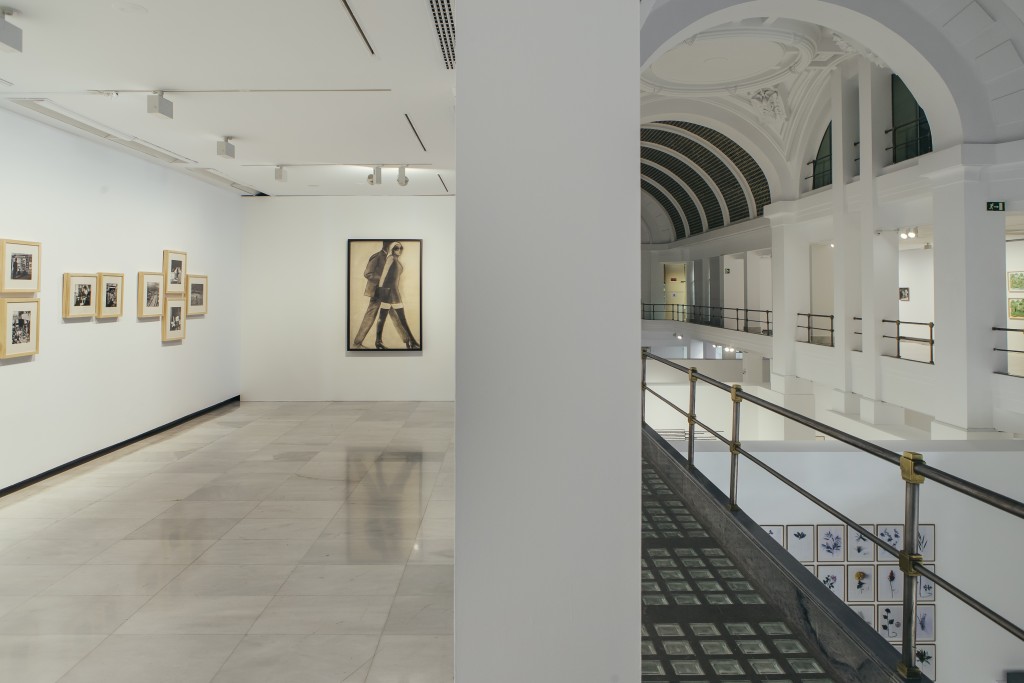 “Campo a través. Arte colombiano en la colección del Banco de la República” en la Sala Alcalá 31